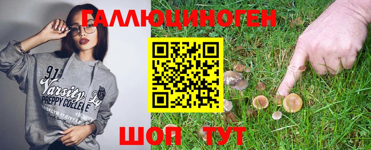 Псилоцибиновые грибы MAGIC MUSHROOMS Вышний Волочёк