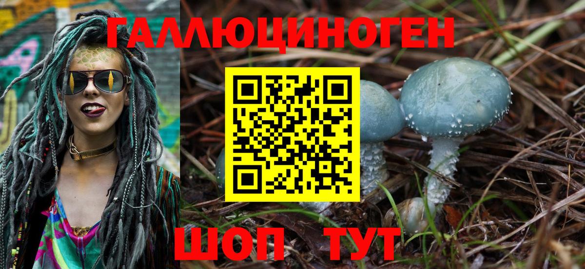 Псилоцибиновые грибы Psilocybine cubensis Вышний Волочёк